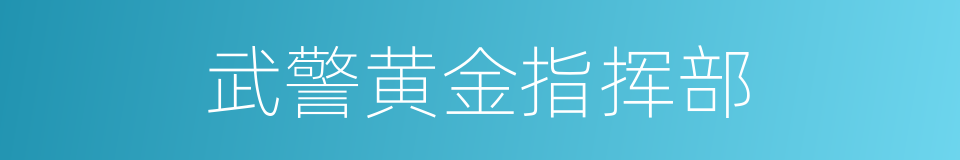 武警黄金指挥部的同义词