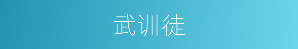 武训徒的同义词