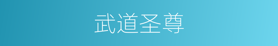 武道圣尊的同义词