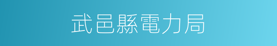 武邑縣電力局的同義詞