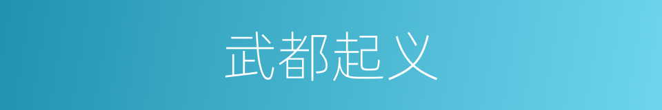 武都起义的同义词