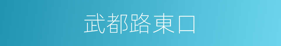 武都路東口的同義詞