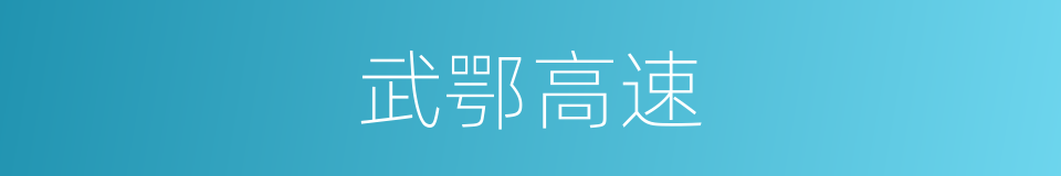 武鄂高速的同义词