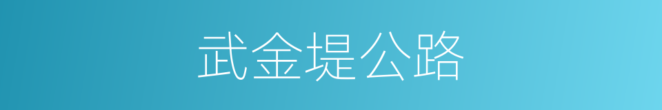 武金堤公路的同义词