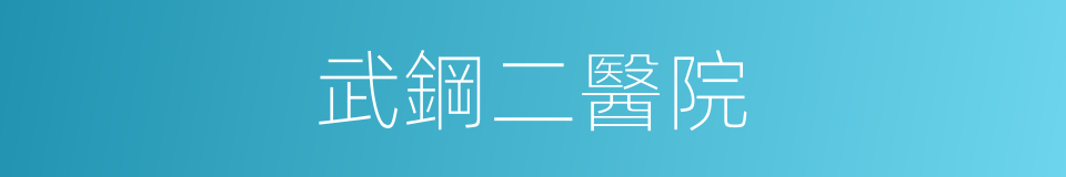 武鋼二醫院的同義詞