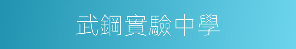 武鋼實驗中學的同義詞