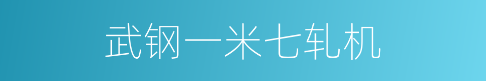 武钢一米七轧机的同义词
