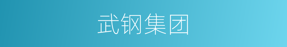 武钢集团的同义词