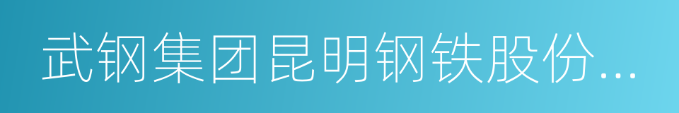 武钢集团昆明钢铁股份有限公司的同义词