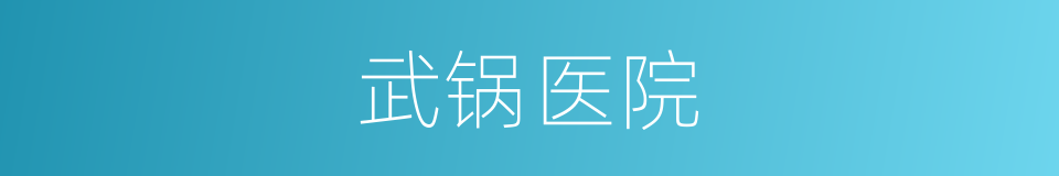 武锅医院的同义词