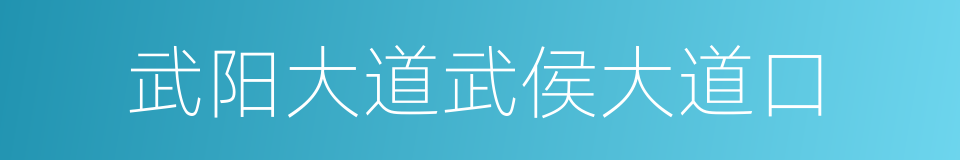 武阳大道武侯大道口的同义词