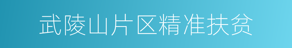 武陵山片区精准扶贫的同义词