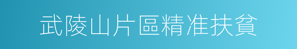 武陵山片區精准扶貧的同義詞