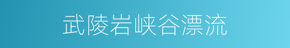 武陵岩峡谷漂流的同义词