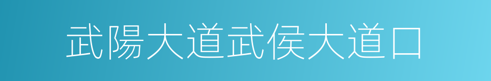 武陽大道武侯大道口的同義詞