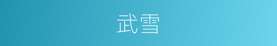 武雪的同义词