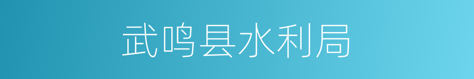 武鸣县水利局的同义词