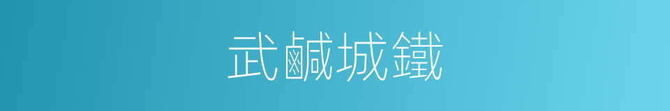 武鹹城鐵的同義詞