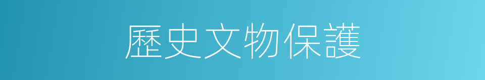 歷史文物保護的同義詞
