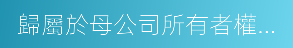 歸屬於母公司所有者權益合計的同義詞