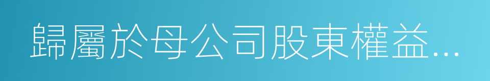 歸屬於母公司股東權益合計的同義詞