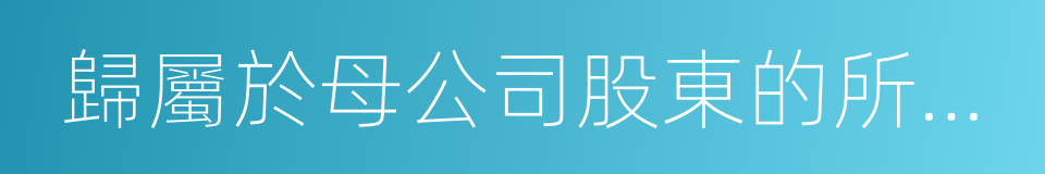 歸屬於母公司股東的所有者權益的同義詞