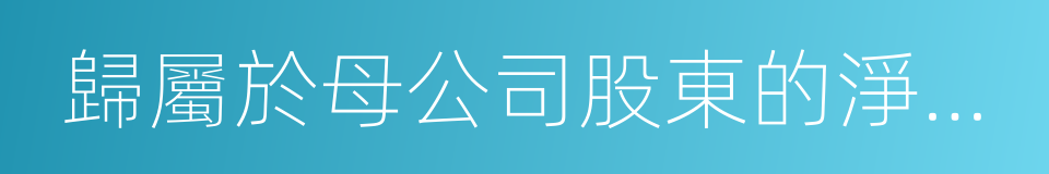 歸屬於母公司股東的淨利潤的同義詞