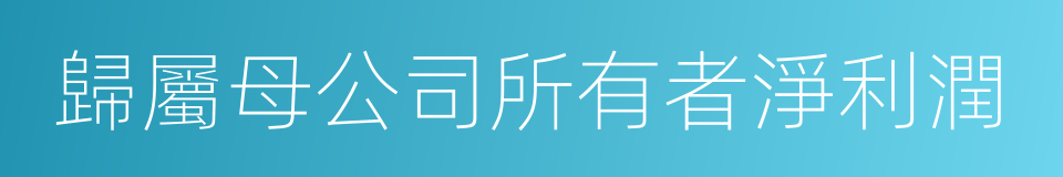 歸屬母公司所有者淨利潤的同義詞