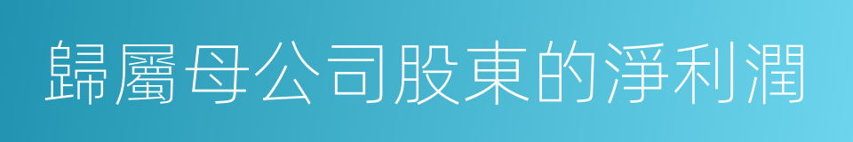 歸屬母公司股東的淨利潤的同義詞