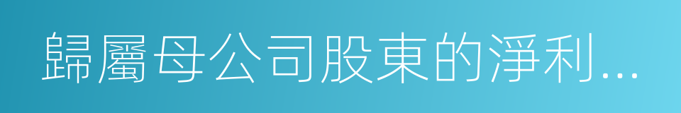 歸屬母公司股東的淨利潤同比增長率的同義詞