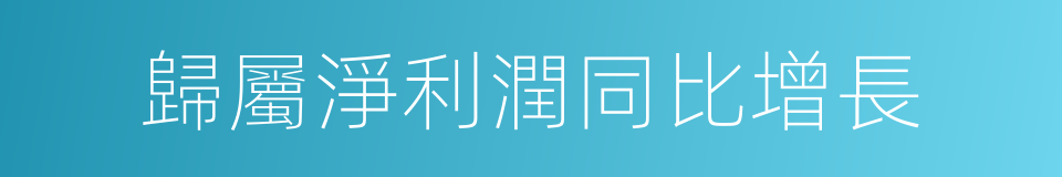 歸屬淨利潤同比增長的同義詞