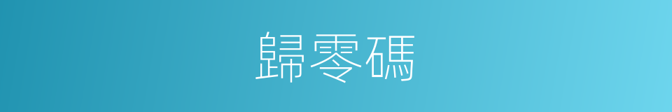 歸零碼的同義詞