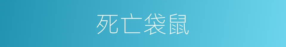 死亡袋鼠的同义词