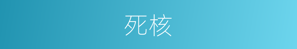 死核的同义词