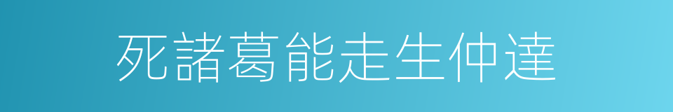 死諸葛能走生仲達的意思