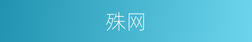 殊网的同义词