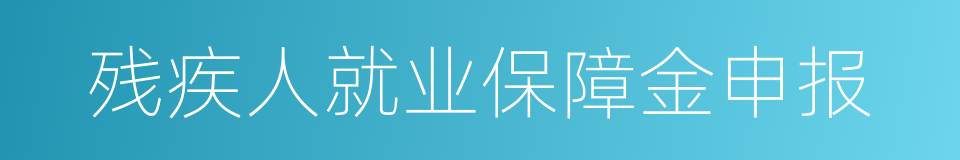 残疾人就业保障金申报的同义词