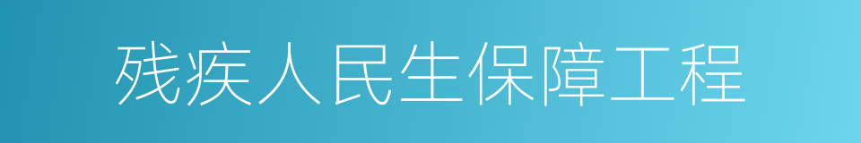 残疾人民生保障工程的同义词