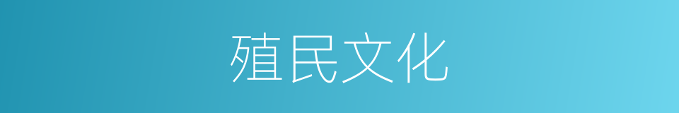 殖民文化的意思