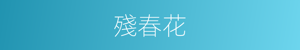 殘春花的同義詞
