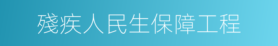殘疾人民生保障工程的同義詞