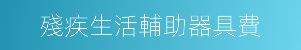 殘疾生活輔助器具費的同義詞