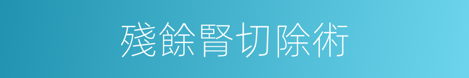 殘餘腎切除術的同義詞