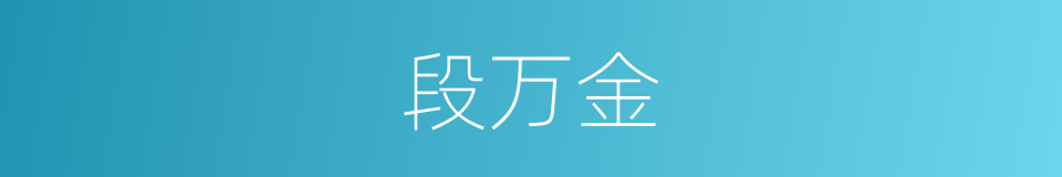 段万金的同义词
