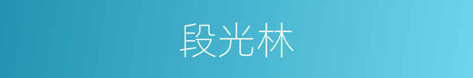 段光林的同义词