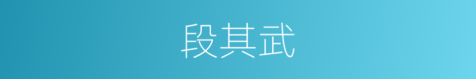 段其武的同义词