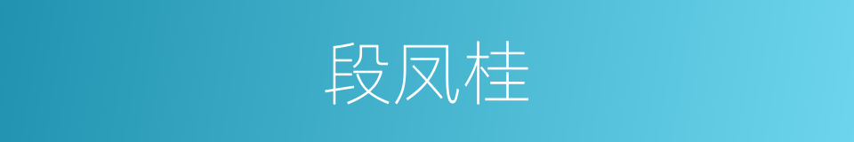 段凤桂的同义词