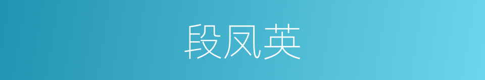 段凤英的同义词