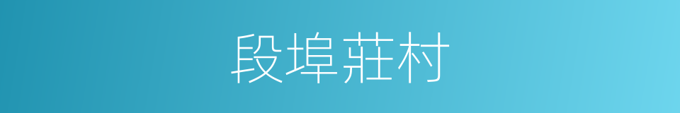 段埠莊村的同義詞