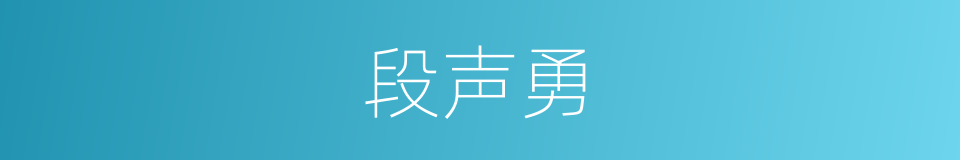 段声勇的同义词